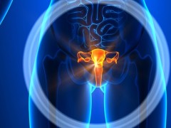 附件炎產(chǎn)生的原因是什么?哪些女性容易感染附件炎?