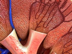 甲狀旁腺功能低下是如何導致的