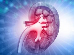 腎炎吃什么退燒藥不傷腎